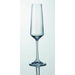 CZ sklen NAOMI CORVUS šamp flétna 6 x 160 ml – Sleviste.cz