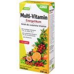 Salus Bio bylinné tonikum Multivitamin Energeticum 250 ml – Hledejceny.cz