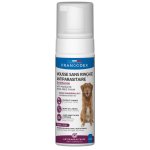 Foolee Sweet Puppy Šampon s kokosovým olejem 250 ml – Hledejceny.cz