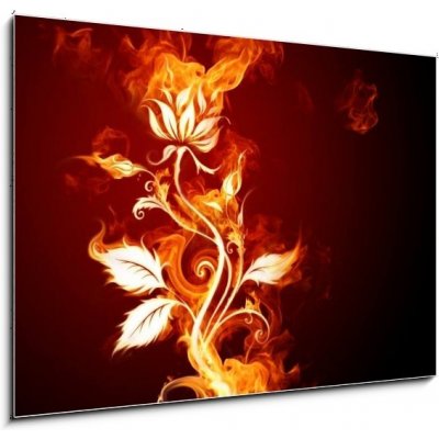 Obraz 1D - 100 x 70 cm - Fire rose Oheň vzrostl – Zboží Mobilmania