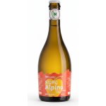 Alpino Cider 5% 0,5 l (sklo) – Sleviste.cz