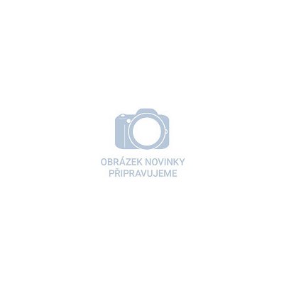kotouč lamelový šikmý korundový, O125mm, P80 – Zboží Mobilmania