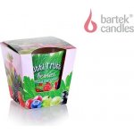 Bartek Candles Tutti Frutti Berries 115 g – Hledejceny.cz