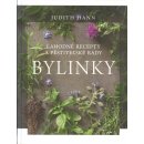 Kniha Bylinky - Lahodné recepty a pěstitelné rady - Judith Hann