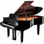 Yamaha C6X SH3 PE – Zbozi.Blesk.cz
