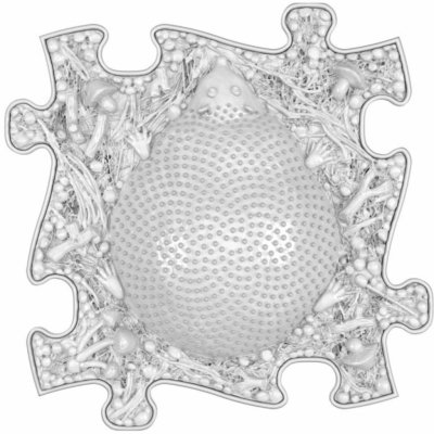 MUFFIK Ortopedická podložka Ježek tvrdý Bílá MFK-004-2-1-22 – Zboží Dáma