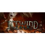 Icewind Dale (Enhanced Edition) – Hledejceny.cz