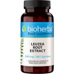 Bioherba Leuzea maralí kořen 240 mg 100 kapslí – Hledejceny.cz