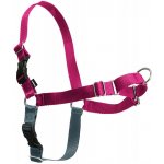 PetSafe Postroj EasySport – Zboží Mobilmania