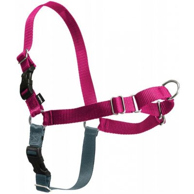 PetSafe Postroj EasySport – Hledejceny.cz