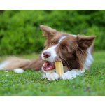 Marp Holistic Horská tyčinka XL 110 119 g SLEVA 30% polámaná – Sleviste.cz