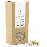 Bylinca Bylinka Mateřídouška nať 70 g – Zboží Dáma