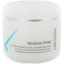 KeraStraight Moisture Mask zvlhčující maska pro suché narovnané vlasy 100 ml