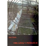 Oblázek v peřejích - Vítek Jan – Hledejceny.cz