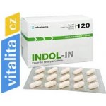 Indol In 60 kapslí – Hledejceny.cz