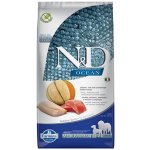 N&D Ocean adult Medium & Maxi Grain Free Salmon & Cod & Melon 12 kg – Hledejceny.cz