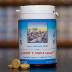 TCM Herbs Kameny z údolí Šaolin 100 tablet – Hledejceny.cz