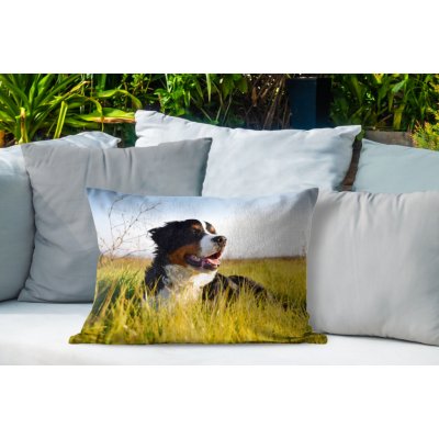 MuchoWow Vnější polštář Bernský salašnický pes leží v trávě 60x40