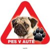 Autovýbava Grel nálepka na plech pozor pes v autě mops