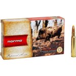 NORMA 30-06 11,7g PLASTIC POINT – Zboží Mobilmania