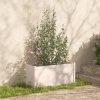 Květináč a truhlík vidaXL truhlík bílý 100 x 50 x 50 cm masivní borovice