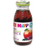 HiPP BIO Z červených plodů ovoce 500 ml – Sleviste.cz