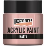Pentart akrylová barva 50 ml punčová matná BARP51850-759 – Zboží Dáma
