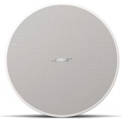 Bose DesignMax DM5C