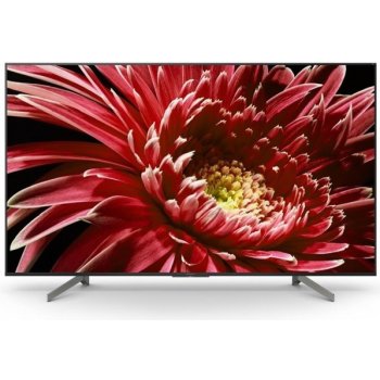 Sony Bravia KD-55XG8599