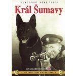 Král Šumavy DVD – Hledejceny.cz