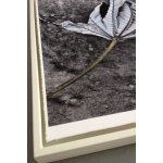 Hahnemühle A2, 25 listů, 310 g/m2 – Zboží Živě