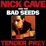 Cave Nick & Bad Seeds - Tender Prey LP – Hledejceny.cz