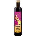 Sonnentor Zázvor citron sirup bio 500 g – Hledejceny.cz