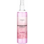 Satisfyer Women Disinfectant Spray 300 ml – Hledejceny.cz