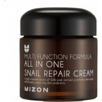 MIZON ALL IN ONE SNAIL REPAIR CREAM 75 ml – Hledejceny.cz
