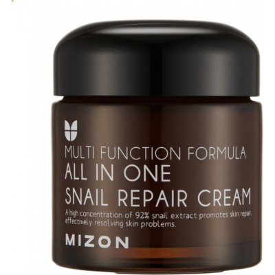 MIZON ALL IN ONE SNAIL REPAIR CREAM 75 ml – Zboží Mobilmania