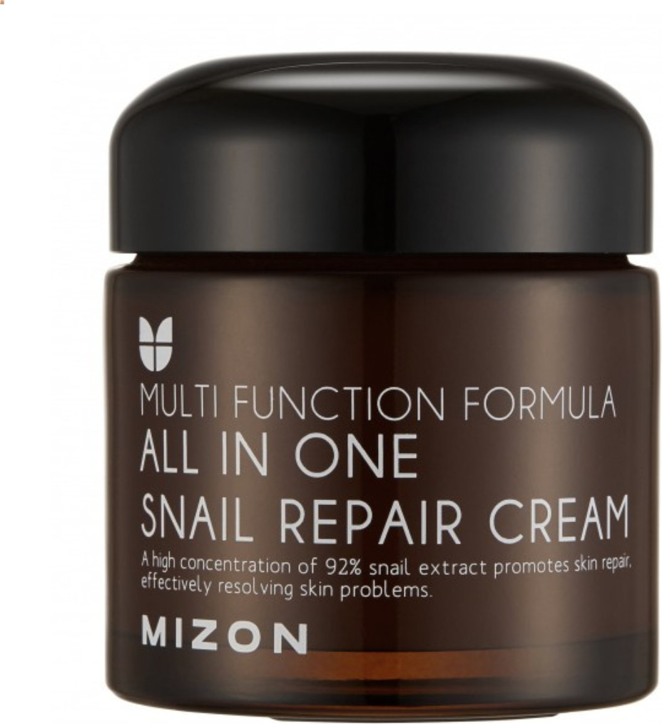 MIZON ALL IN ONE SNAIL REPAIR CREAM 75 ml