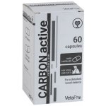 VetaPro CarbonActive tráviaci adsorbent pre psov a mačky 60 kapsúl – Hledejceny.cz