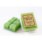 Czech Perfume Candle Aroma vosk Čerstvá Limetka 65 g – Zbozi.Blesk.cz