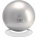 Gymnic Memory Ball 55cm – Zbozi.Blesk.cz