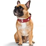 Hunter Swiss kožený obojek – Hledejceny.cz