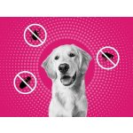 Frontline Tri-Act Spot-On Dog XS 2-5 kg 1 x 0,5 ml – HobbyKompas.cz