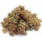 CBDčko CBD Konopný květ Cheese Kush malé paličky Obsah THC do 1 % 10 g – Zboží Dáma