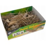 Lucky ReptileDeco Set Desert – Hledejceny.cz