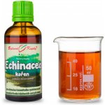 Bylinné kapky Echinacea třapatka kapky kořen tinktura 50 ml – Hledejceny.cz