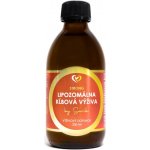Zdravý Svet Lipozomální kloubní výživa 250 ml – Hledejceny.cz
