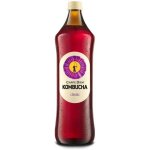 Carpe Diem Kombucha 0,75 l – Zboží Dáma