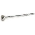 Vruty Rapi-Tec SK, 8x220mm, T40, bílý zinek, 50ks – Hledejceny.cz