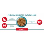 Purina ONE Bifensis sterilcat hovězí a pšenice 0,8 kg – Sleviste.cz