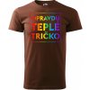 Pánské Tričko Sablio tričko s potiskem Opravdu teplé tričko hnědé